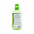 Apa de gura naturala cicatrizanta SPRY plante de menta – fara alcool, 473 ml.